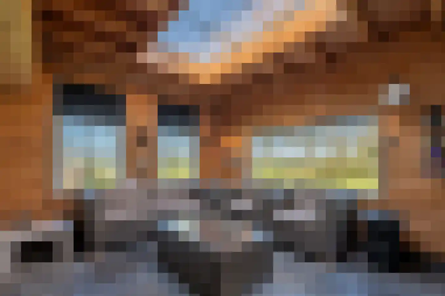 Hoevenweg 16 Dalfsen thumbnail 52