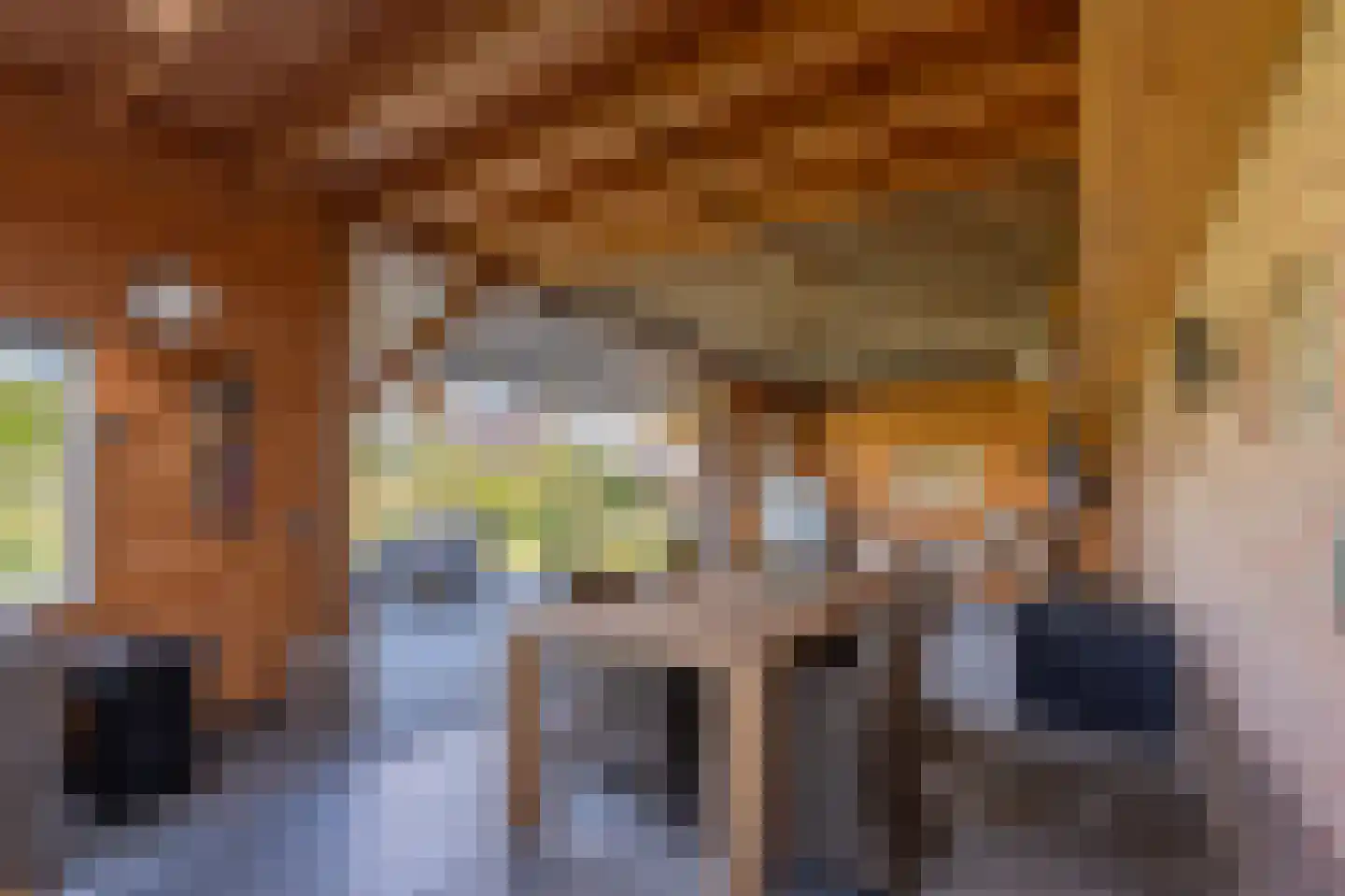 Hoevenweg 16 Dalfsen thumbnail 53