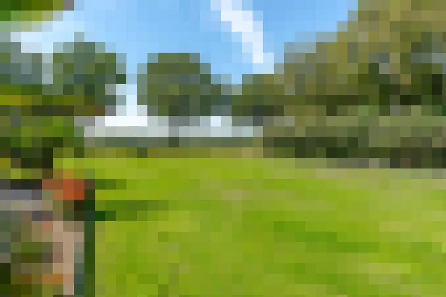 Hoevenweg 16 Dalfsen thumbnail 56