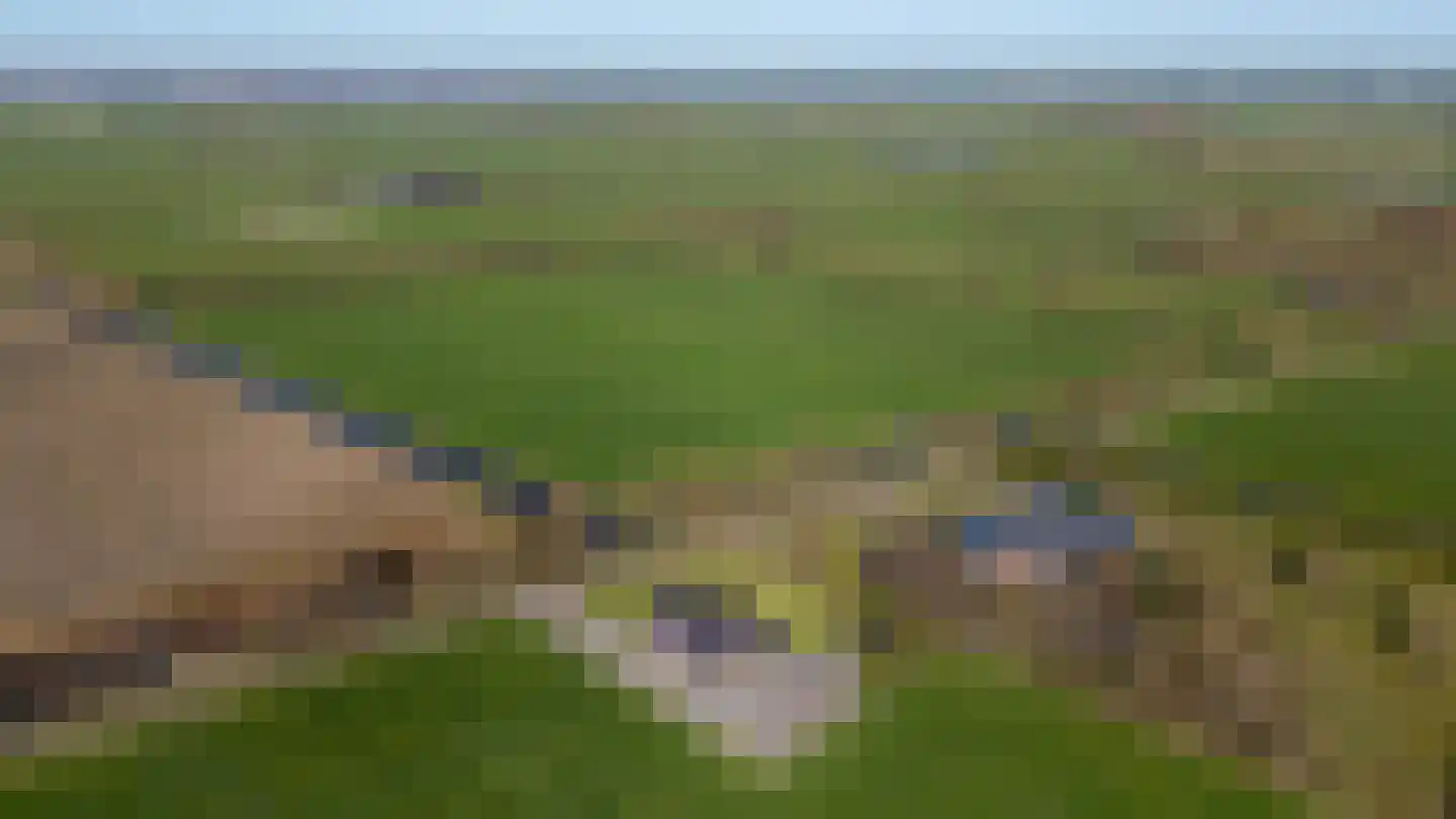 Hoevenweg 16 Dalfsen thumbnail 67