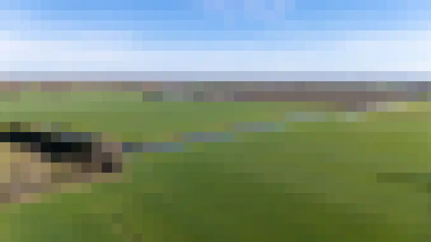 Hoevenweg 16 Dalfsen thumbnail 67