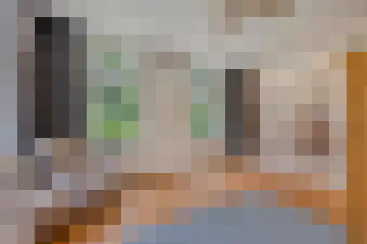 Hoevenweg 20 Dalfsen thumbnail 12