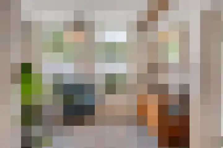 Hoevenweg 20 Dalfsen thumbnail 15
