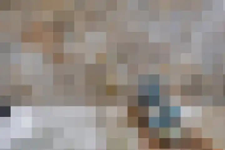 Hoevenweg 20 Dalfsen thumbnail 17