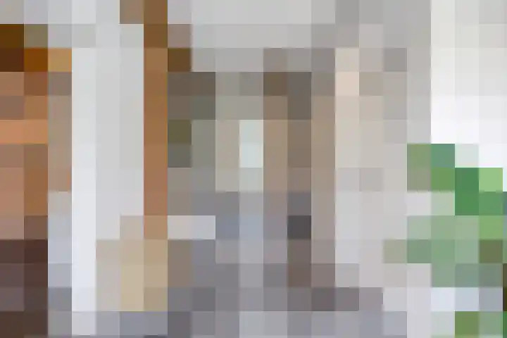 Hoevenweg 20 Dalfsen thumbnail 19