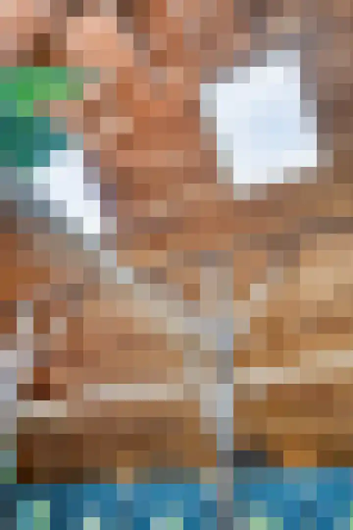 Hoevenweg 20 Dalfsen thumbnail 30