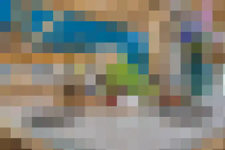 Hoevenweg 20 Dalfsen thumbnail 35