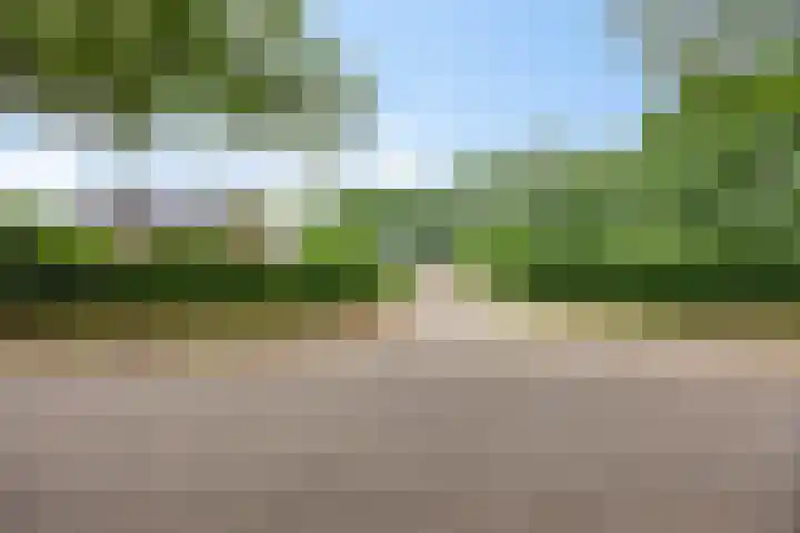 Hoevenweg 20 Dalfsen thumbnail 4