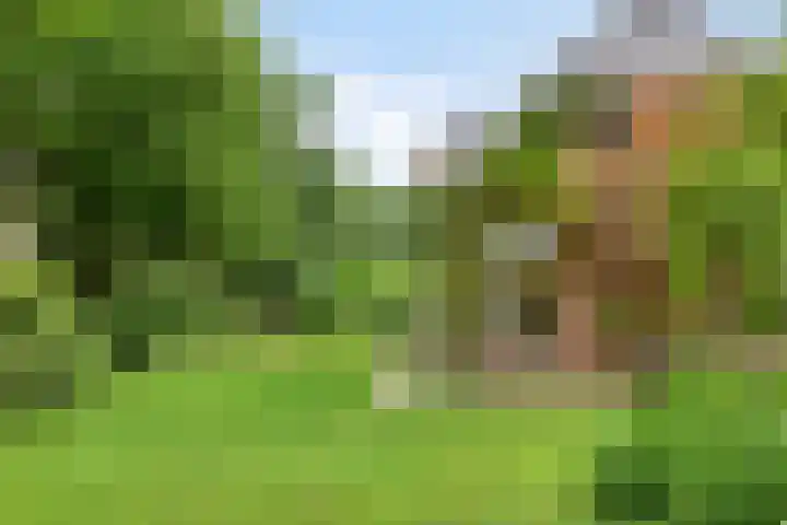 Hoevenweg 20 Dalfsen thumbnail 5