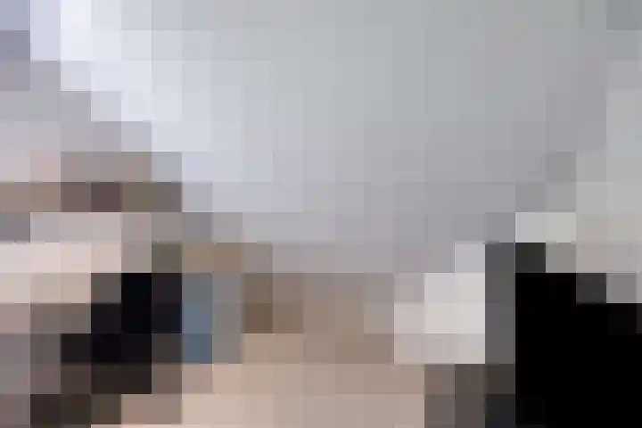 Hoevenweg 20 Dalfsen thumbnail 52