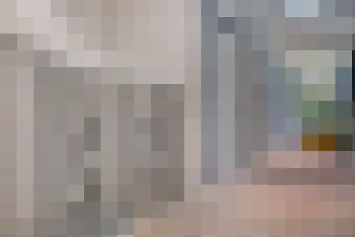 Hoevenweg 20 Dalfsen thumbnail 60
