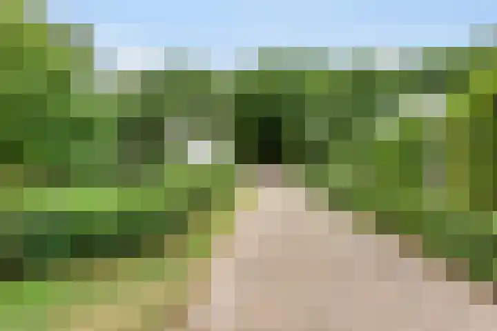 Hoevenweg 20 Dalfsen thumbnail 61