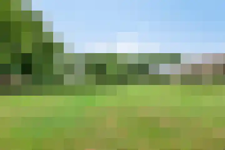 Hoevenweg 20 Dalfsen thumbnail 62