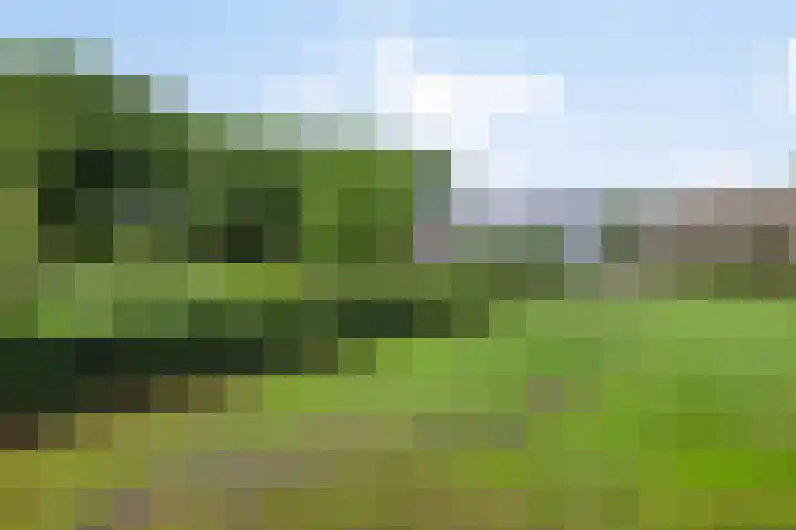 Hoevenweg 20 Dalfsen thumbnail 63