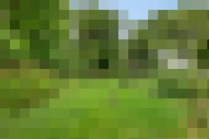 Hoevenweg 20 Dalfsen thumbnail 64