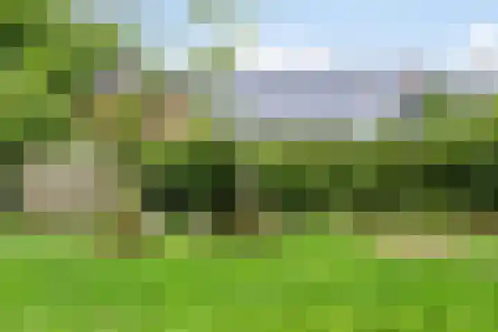 Hoevenweg 20 Dalfsen thumbnail 65