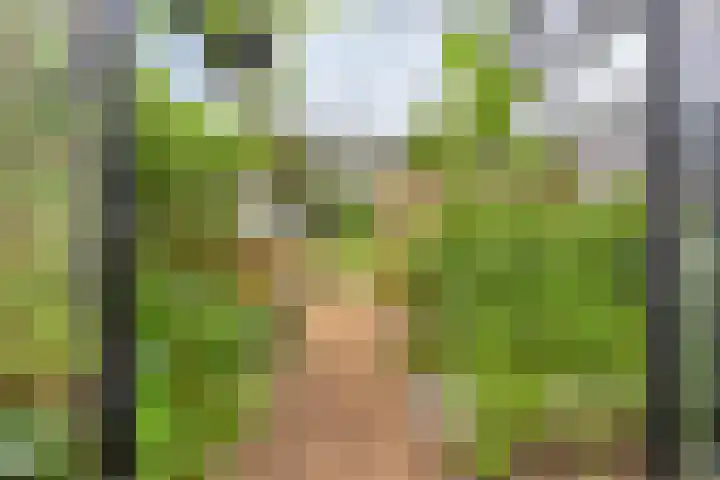 Hoevenweg 20 Dalfsen thumbnail 66