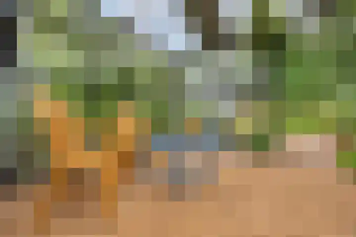 Hoevenweg 20 Dalfsen thumbnail 67