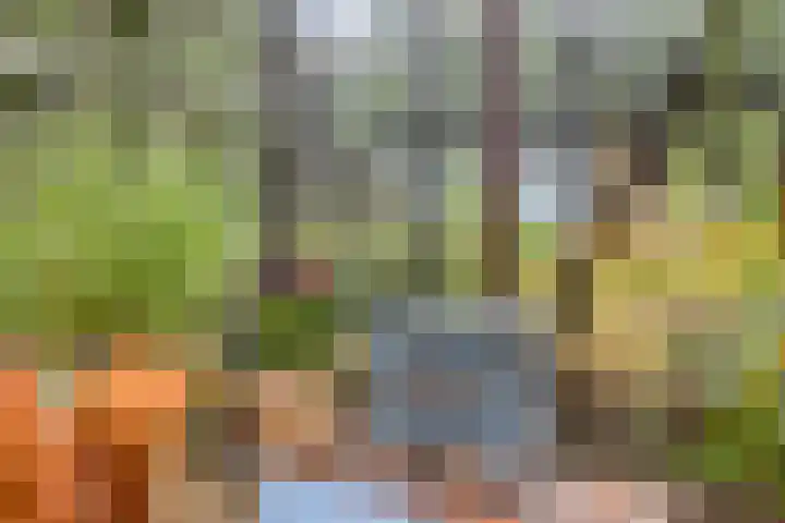 Hoevenweg 20 Dalfsen thumbnail 68