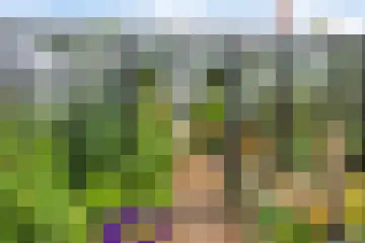 Hoevenweg 20 Dalfsen thumbnail 69