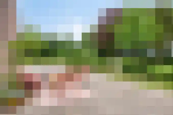 Hoevenweg 20 Dalfsen thumbnail 72