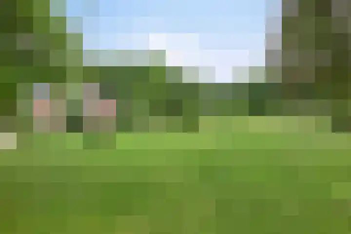 Hoevenweg 20 Dalfsen thumbnail 73