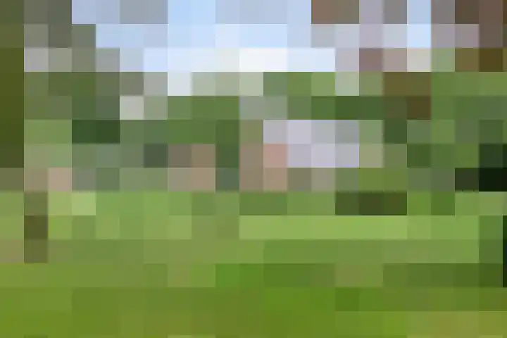 Hoevenweg 20 Dalfsen thumbnail 74