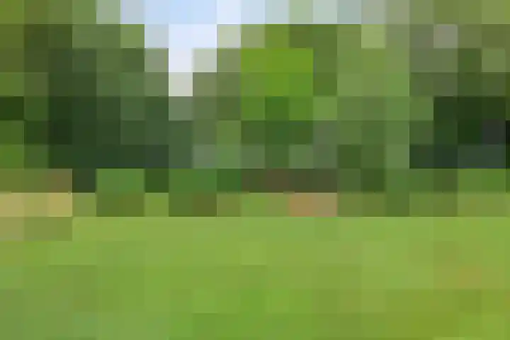 Hoevenweg 20 Dalfsen thumbnail 75
