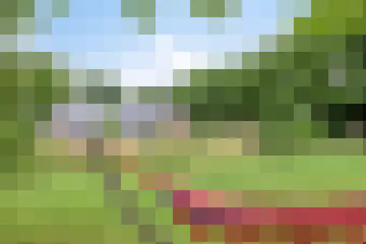 Hoevenweg 20 Dalfsen thumbnail 76