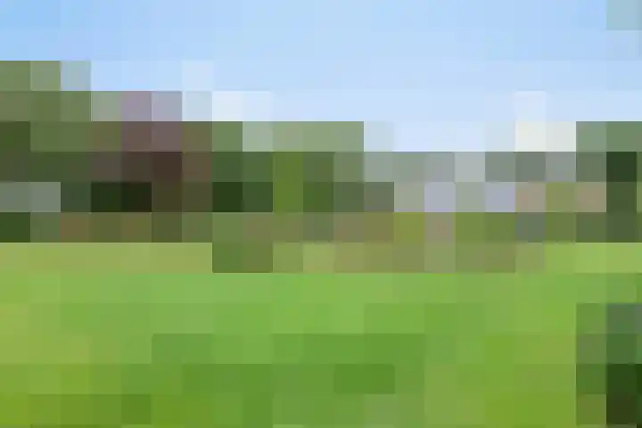 Hoevenweg 20 Dalfsen thumbnail 77