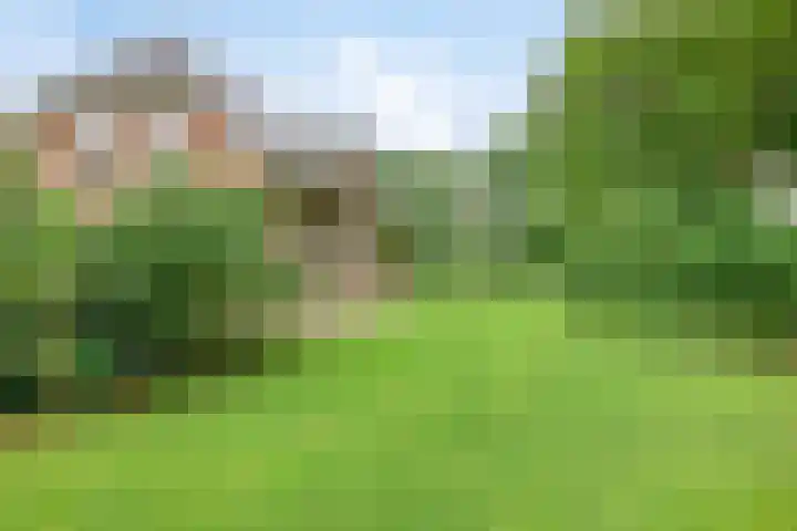 Hoevenweg 20 Dalfsen thumbnail 79