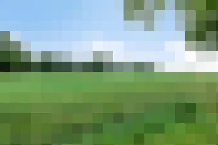 Hoevenweg 20 Dalfsen thumbnail 81