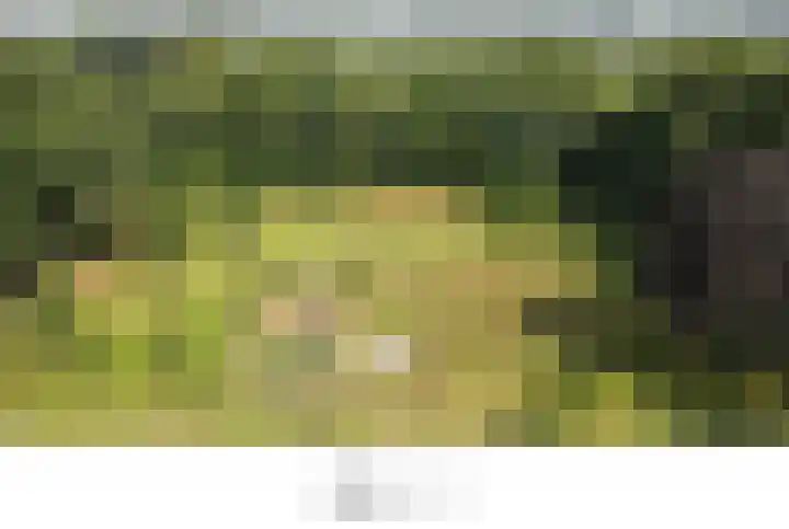 Hoevenweg 20 Dalfsen thumbnail 82
