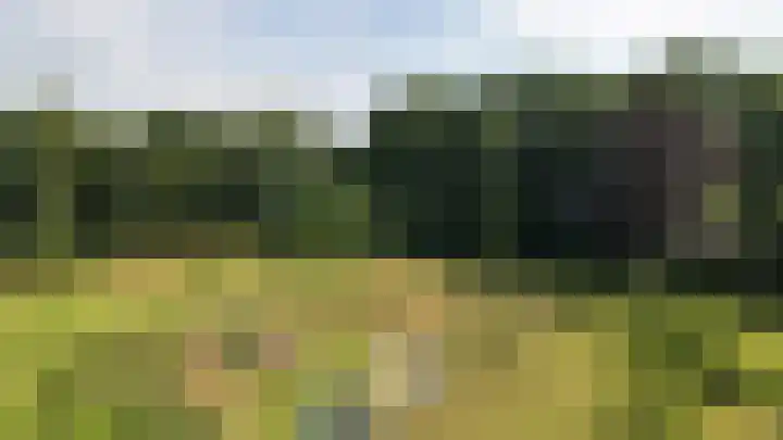 Hoevenweg 20 Dalfsen thumbnail 83