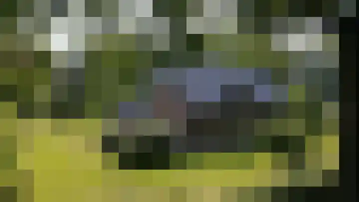 Hoevenweg 20 Dalfsen thumbnail 85