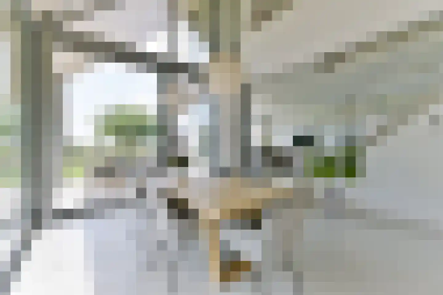 Hoevenweg 21 Hagestein thumbnail 23