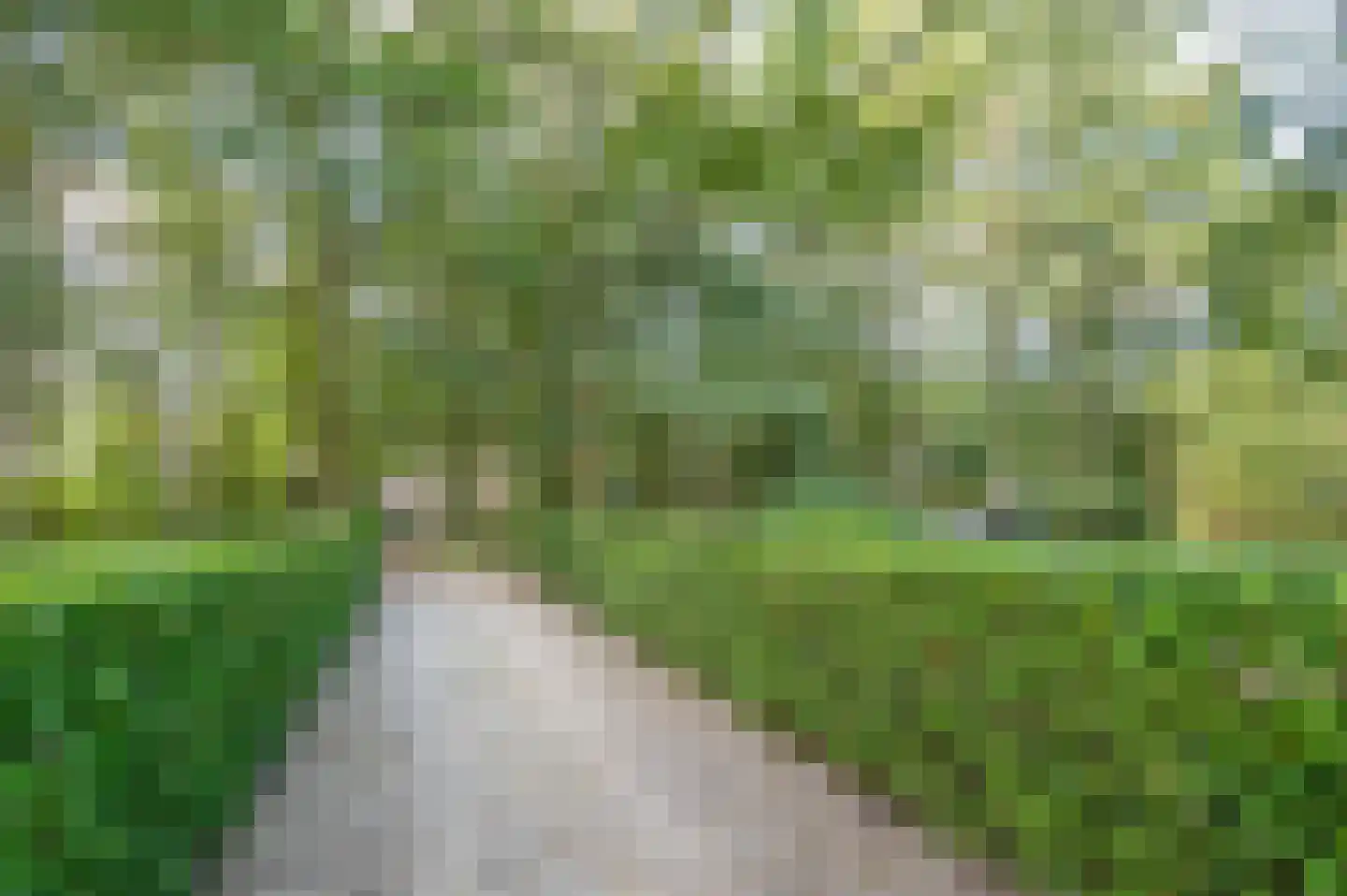Hoevenweg 9 Dalfsen thumbnail 22