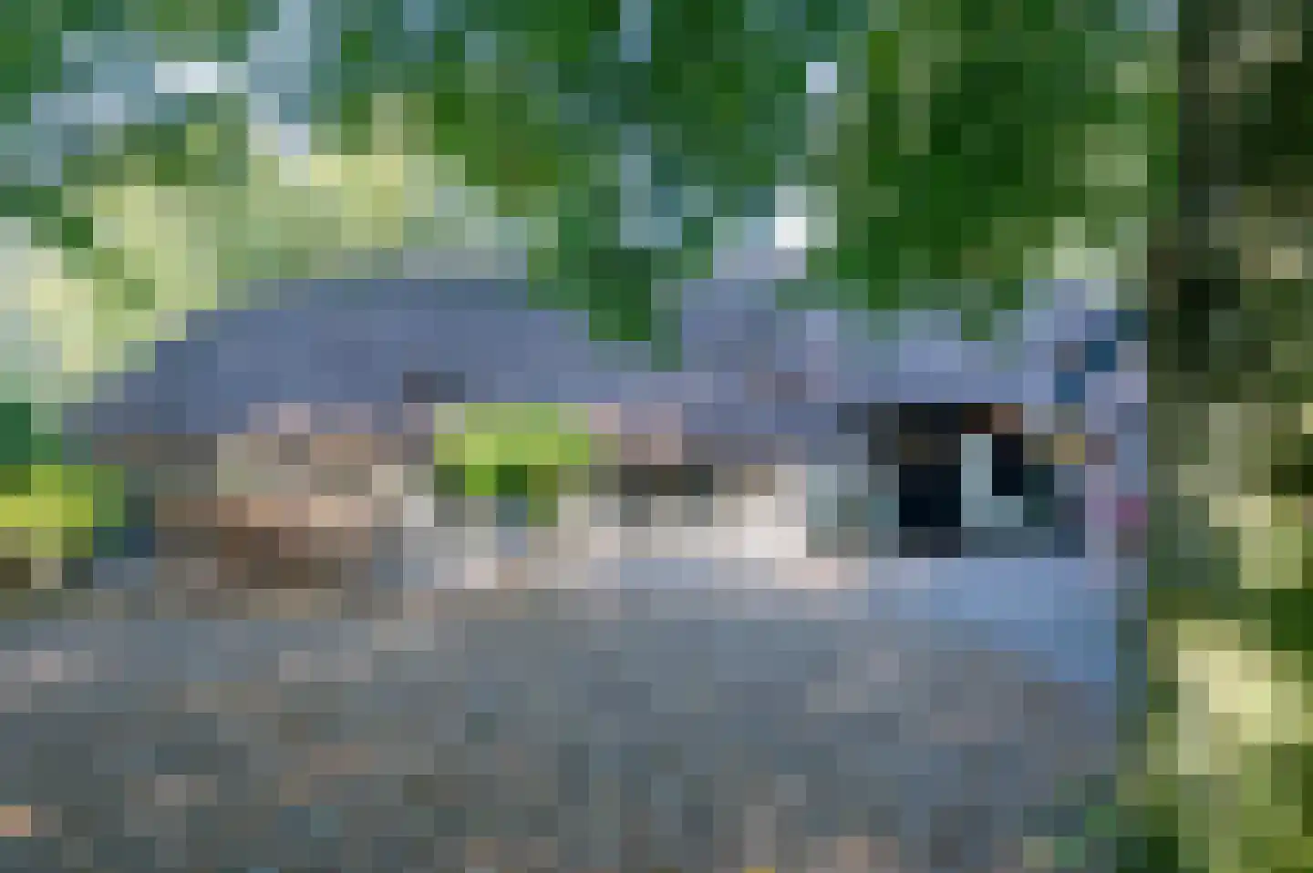 Hoevenweg 9 Dalfsen thumbnail 23
