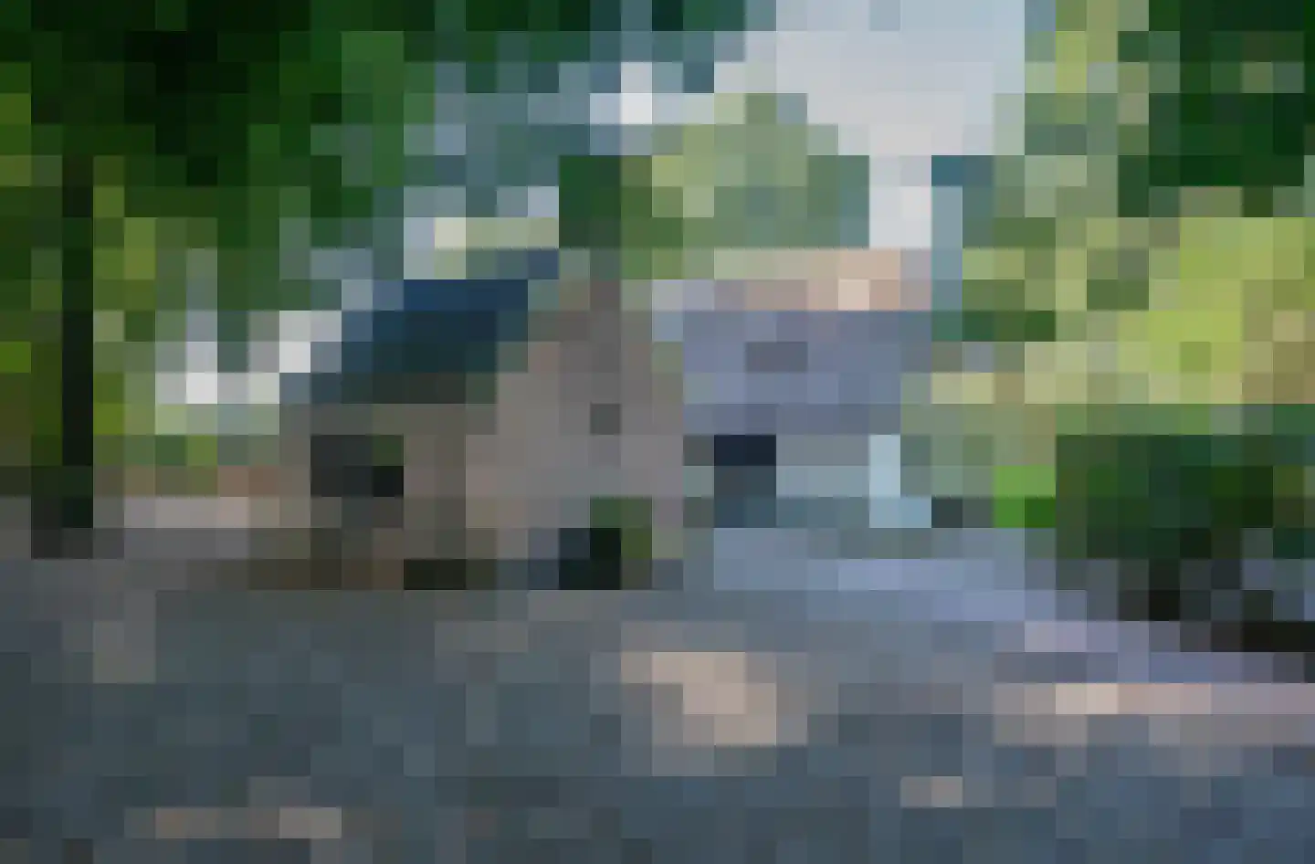 Hoevenweg 9 Dalfsen thumbnail 41