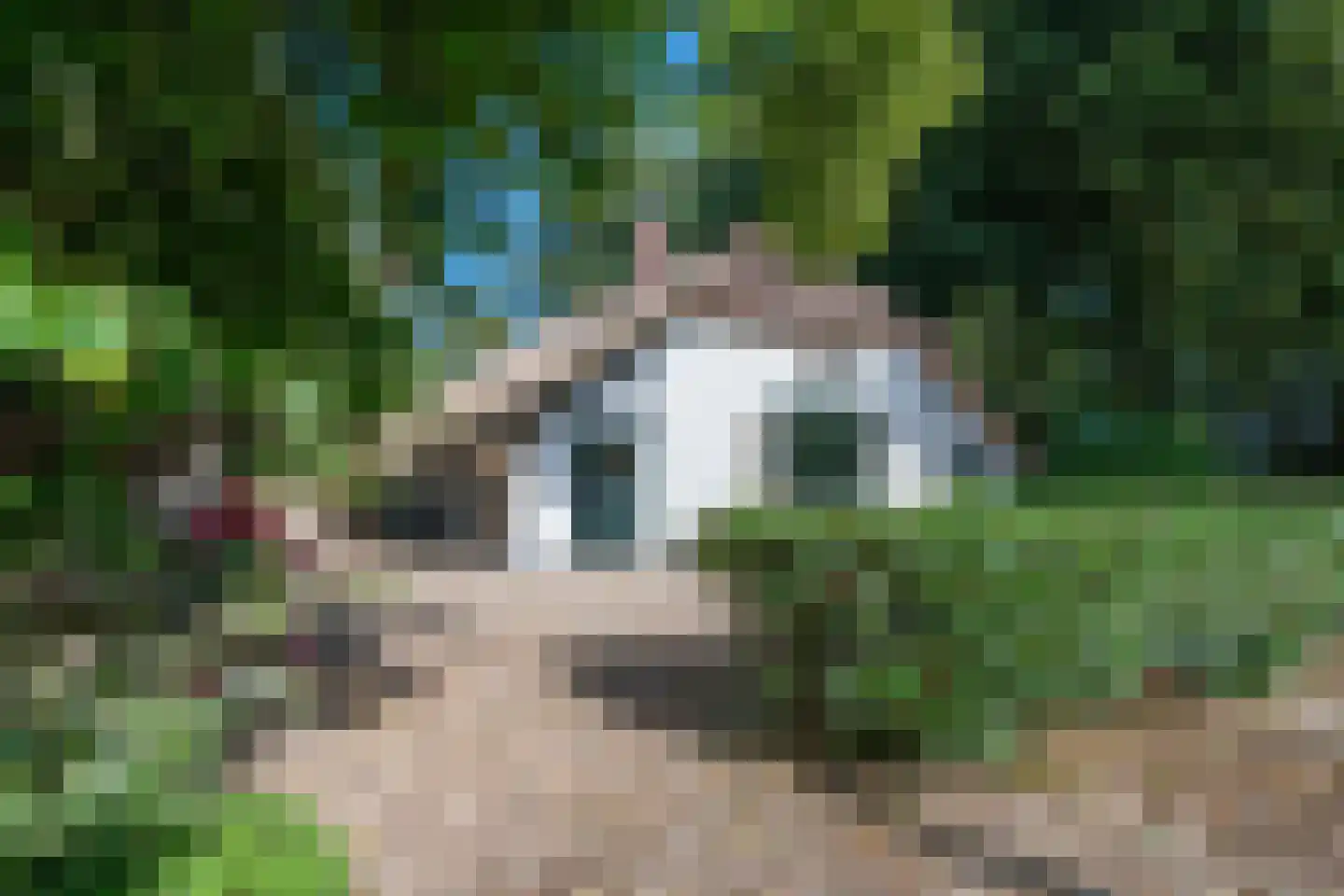 Hoevenweg 9 Dalfsen thumbnail 43
