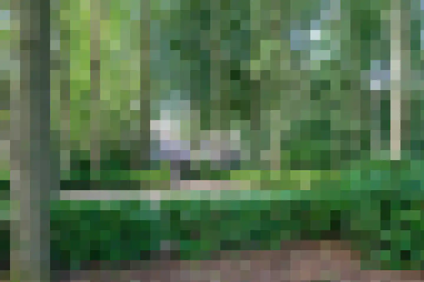 Hoevenweg 9 Dalfsen thumbnail 63