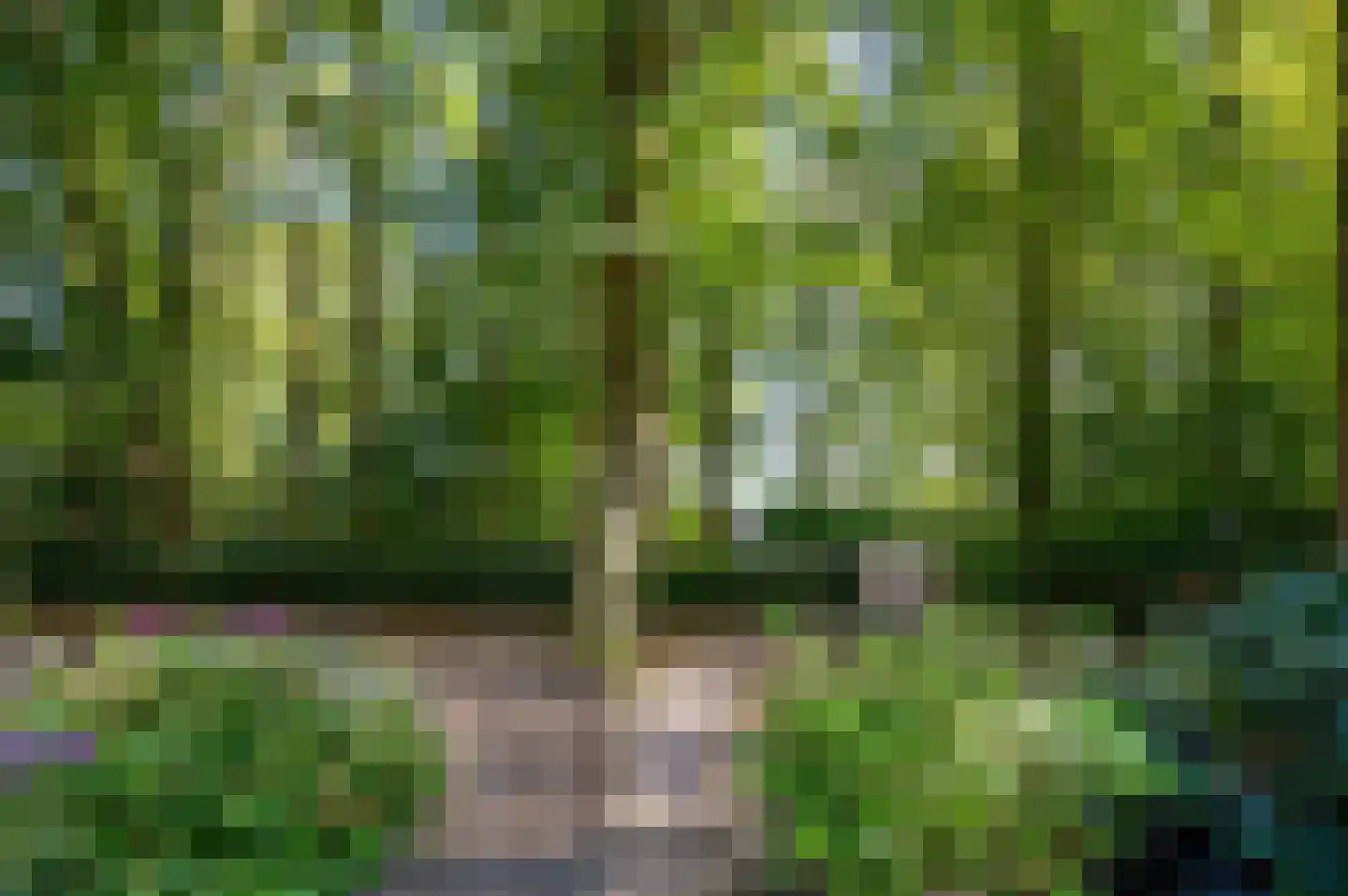 Hoevenweg 9 Dalfsen thumbnail 64