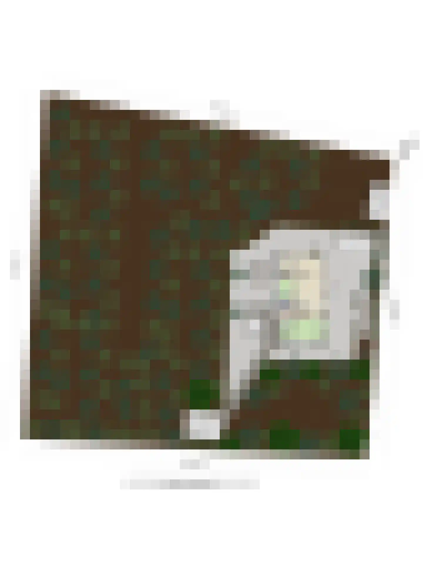 Hoevenweg 9 Dalfsen thumbnail 75