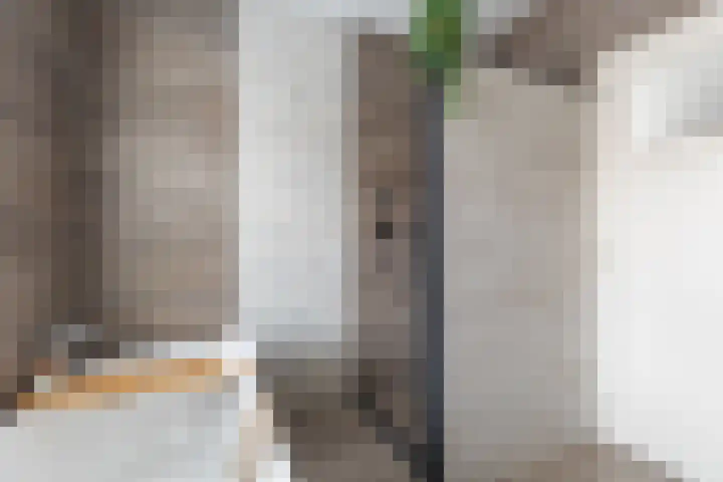 Hoeverkade 4 Alkmaar thumbnail 25