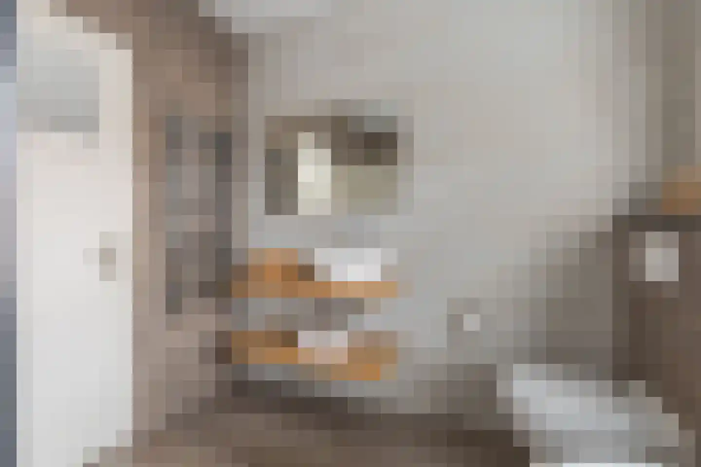 Hoeverkade 4 Alkmaar thumbnail 26