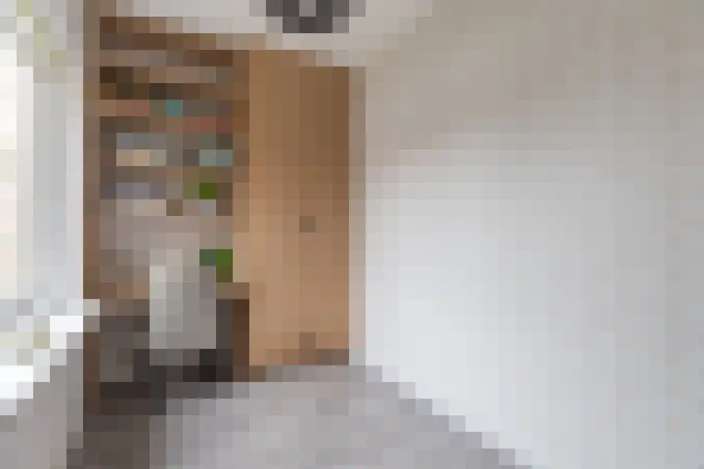Hoeverkade 4 Alkmaar thumbnail 29