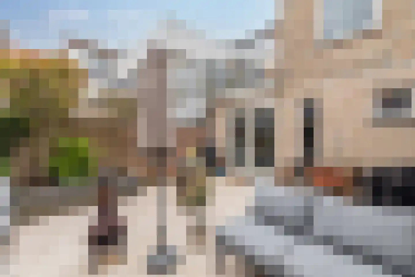 Hoeverkade 4 Alkmaar thumbnail 39