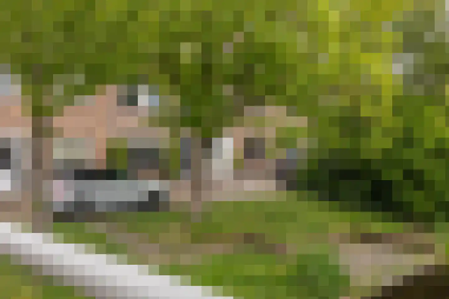 Hoeverkade 4 Alkmaar thumbnail 4