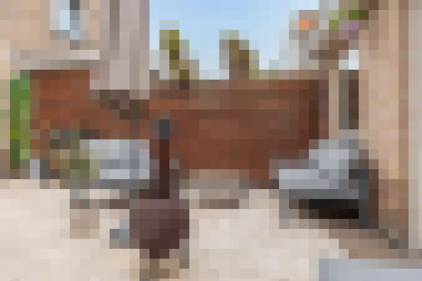 Hoeverkade 4 Alkmaar thumbnail 41