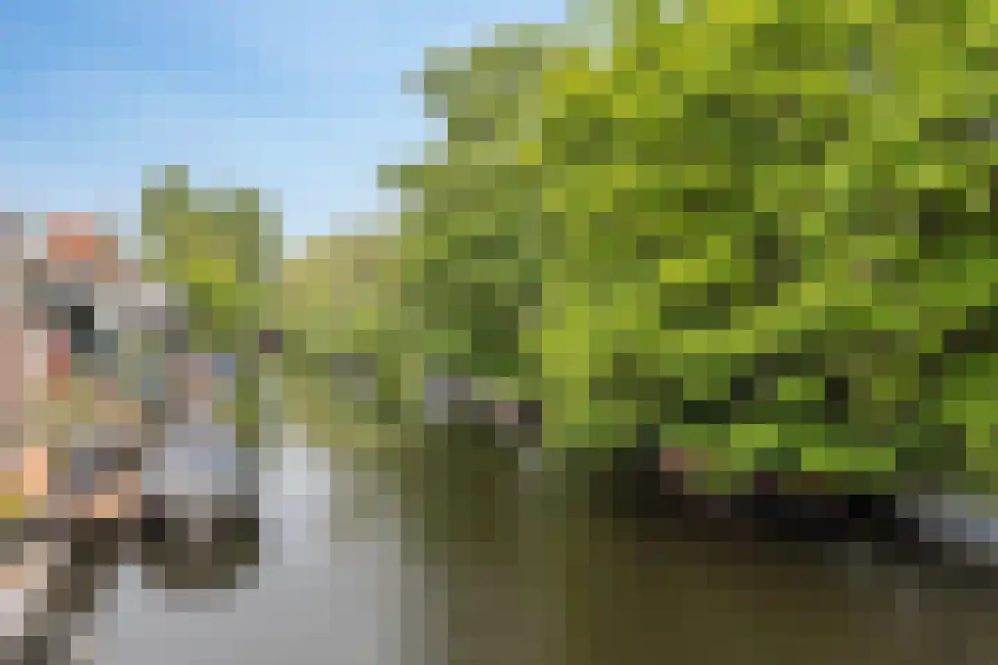 Hoeverkade 4 Alkmaar thumbnail 43